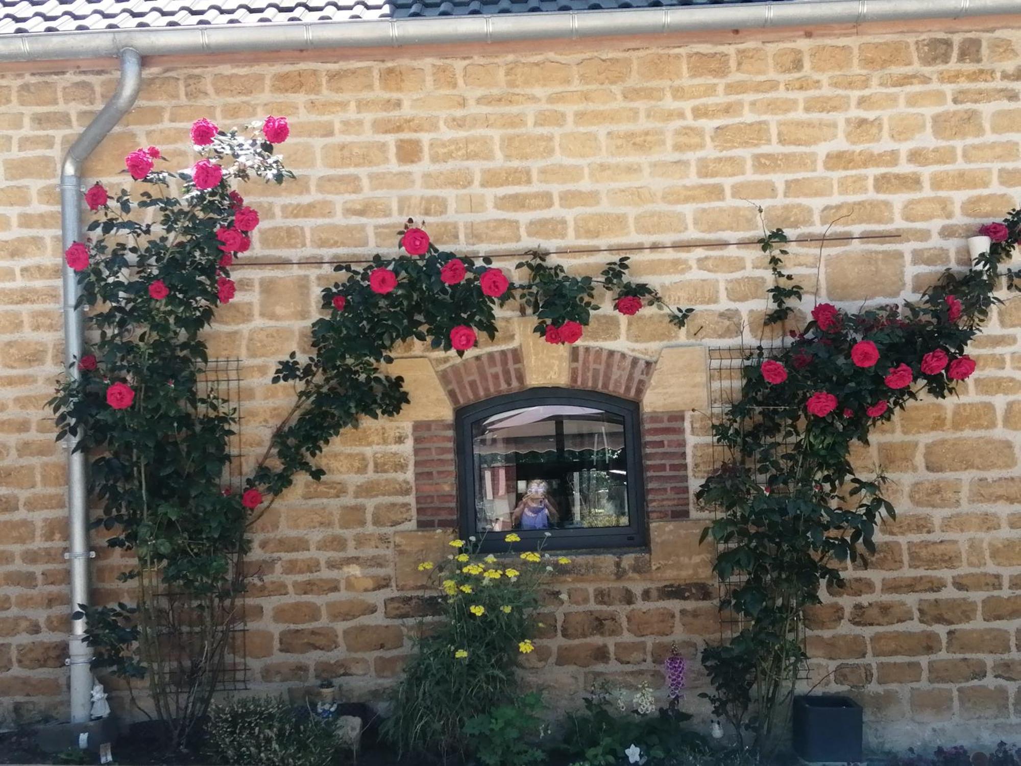 Villa Ô jardin de boutancourt Extérieur photo