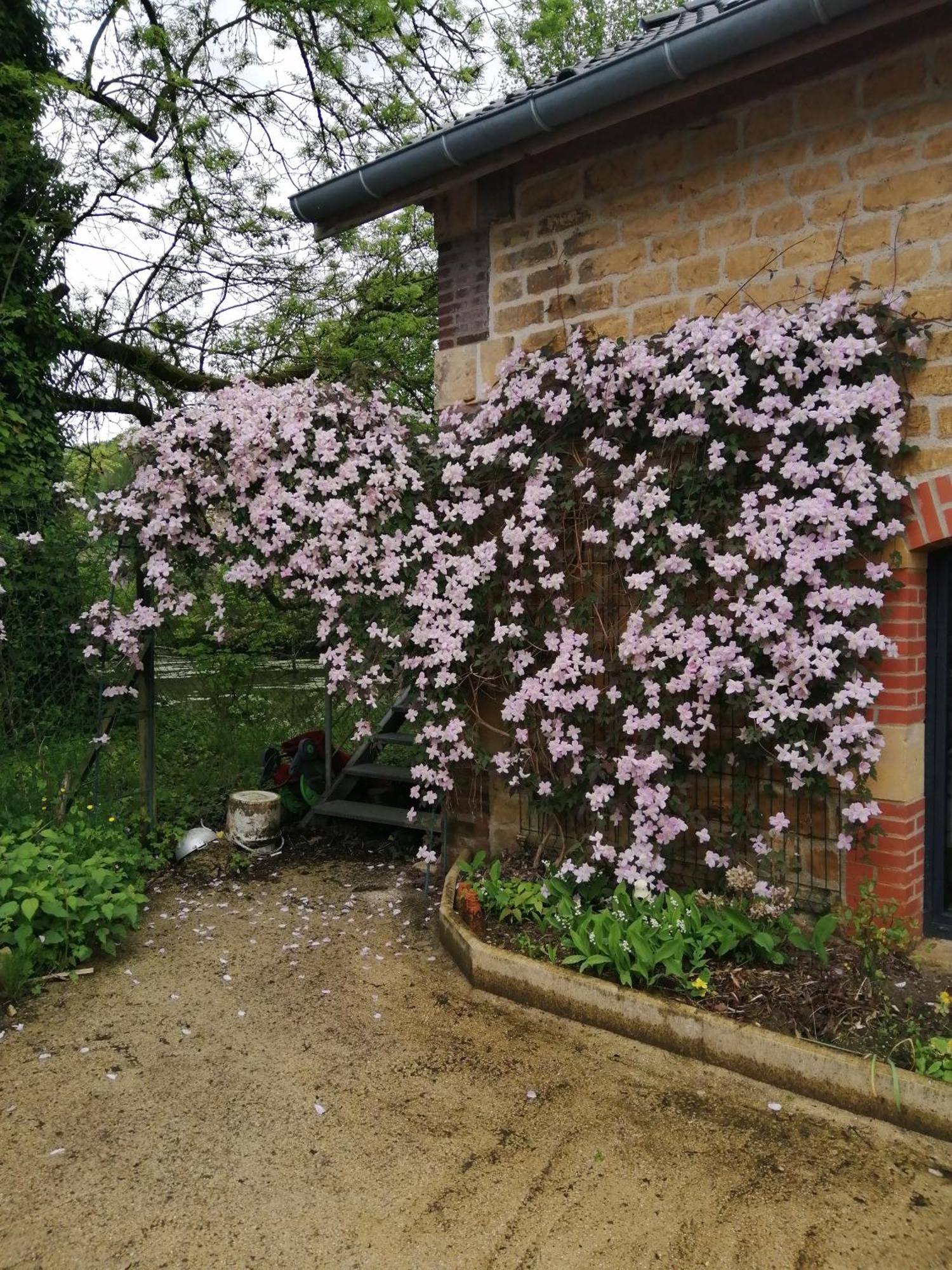 Villa Ô jardin de boutancourt Extérieur photo