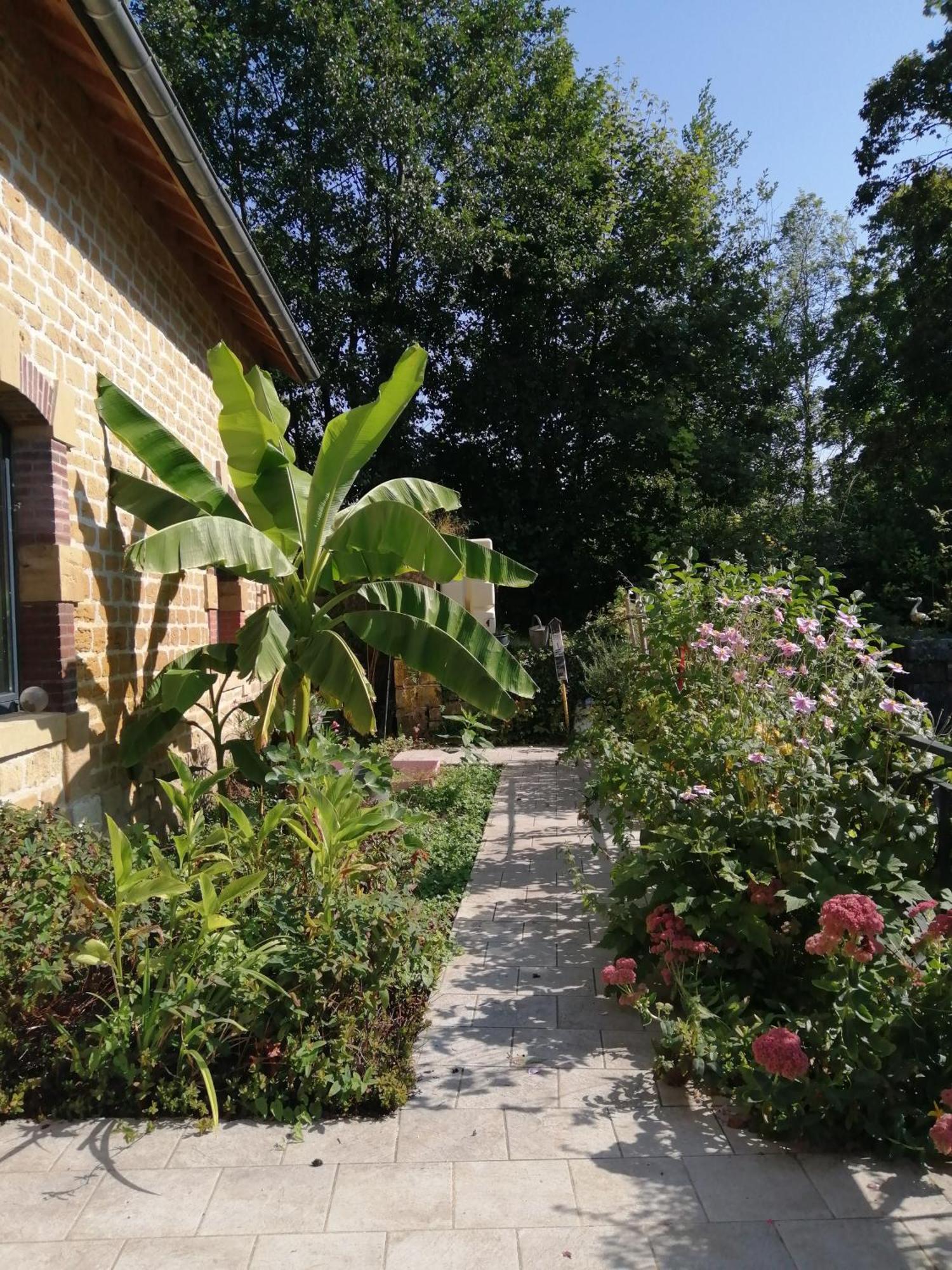 Villa Ô jardin de boutancourt Extérieur photo