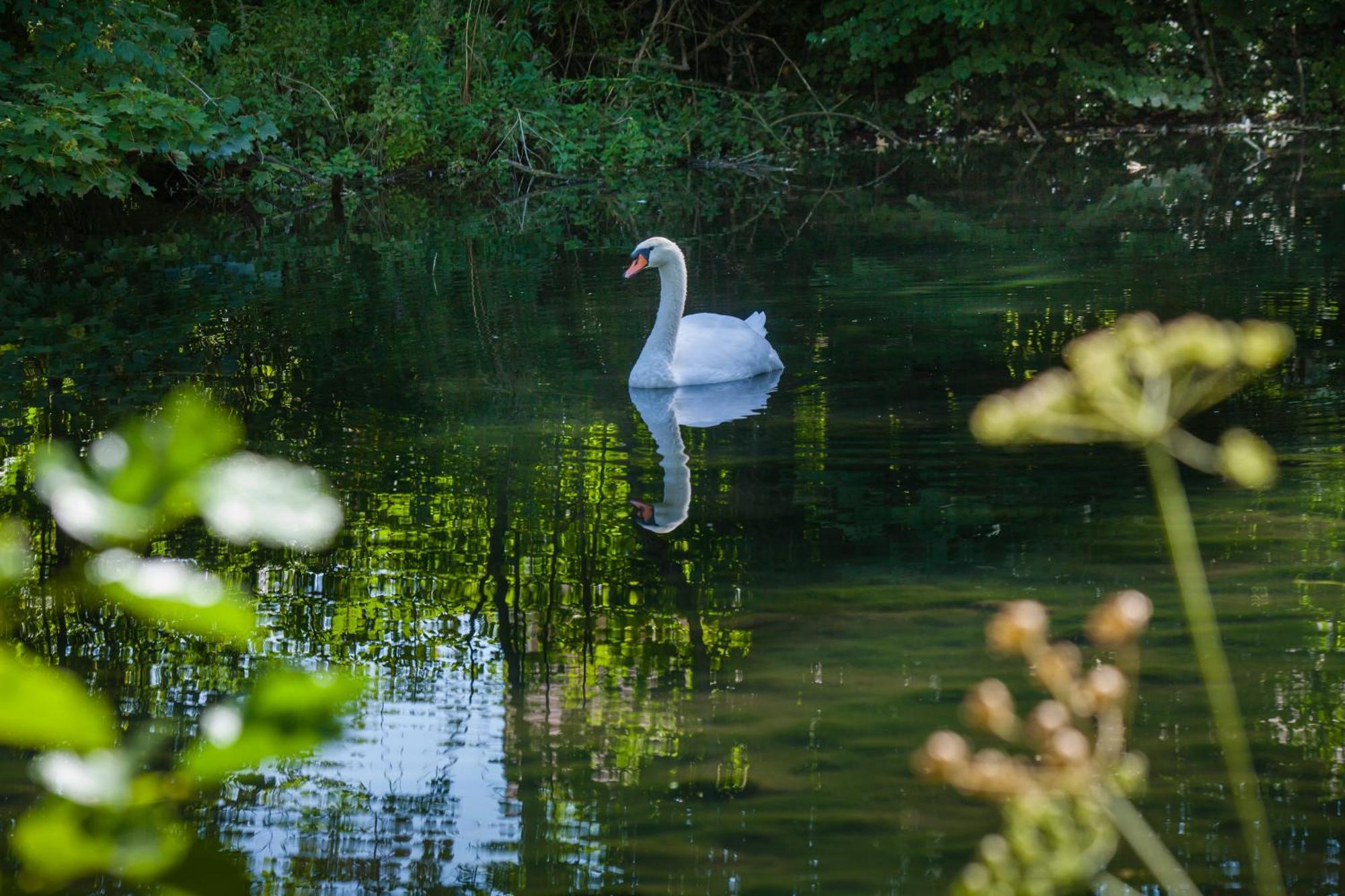 Villa Ô jardin de boutancourt Extérieur photo