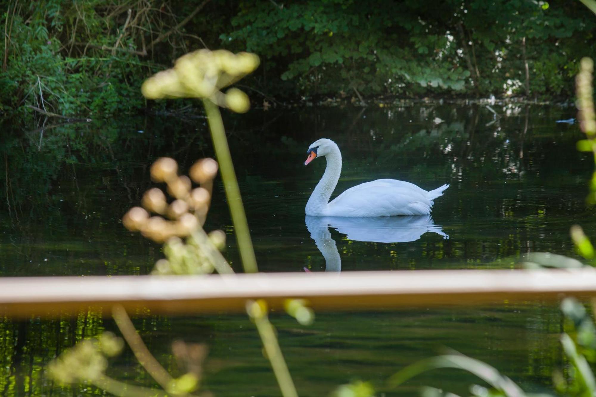 Villa Ô jardin de boutancourt Extérieur photo